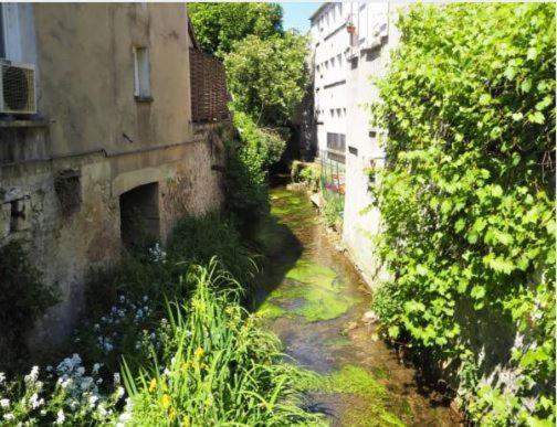 Le Gite Entre Val Et Rose Provins Esterno foto